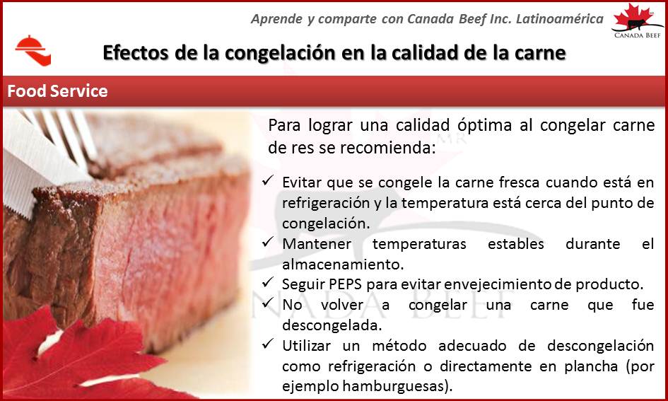 Cómo conservar productos congelados